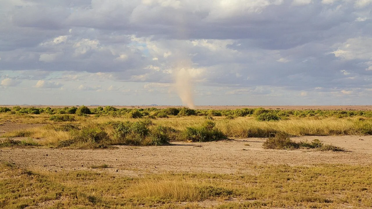 Cyclone impact Australia
