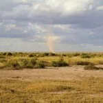 Cyclone impact Australia